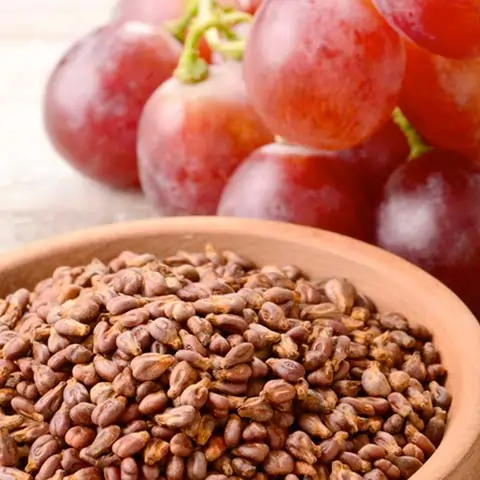 Grape Seed extract