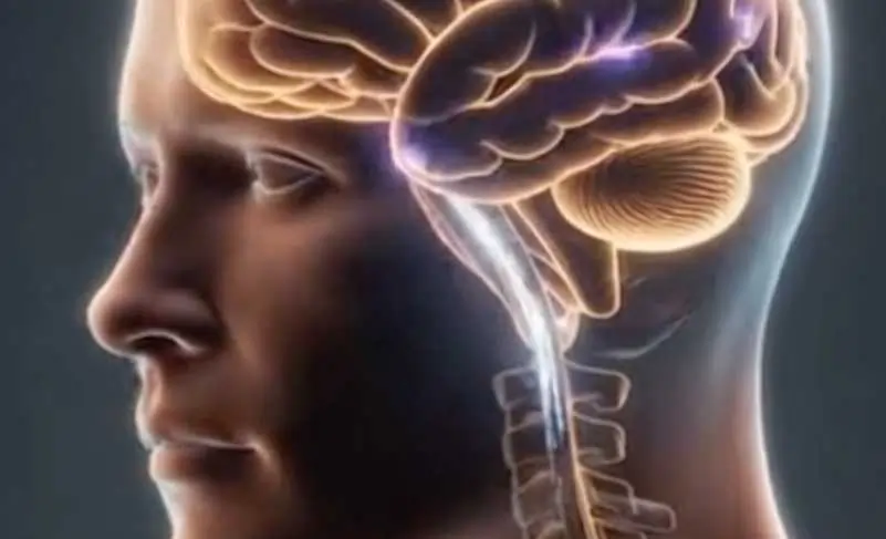 A healthy man experiencing high daily energy and confidence